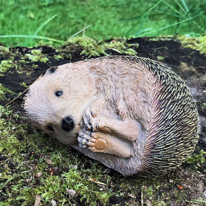 Set of 2 playful Baby Hedgehog indoor or outdoor ornaments, hedgehog lover gift