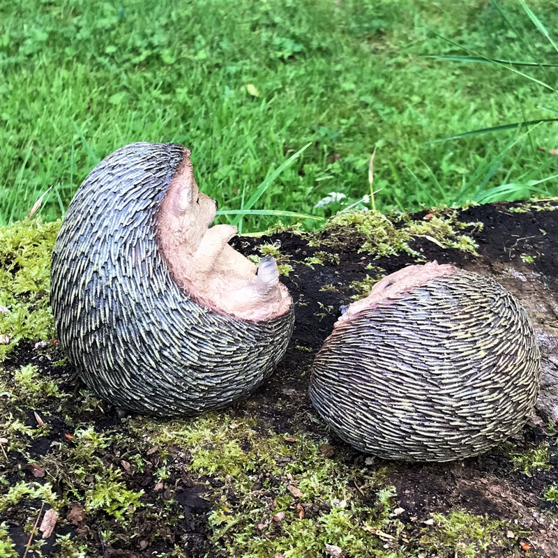 Set of 2 playful Baby Hedgehog indoor or outdoor ornaments, hedgehog lover gift