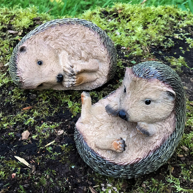Set of 2 playful Baby Hedgehog indoor or outdoor ornaments, hedgehog lover gift