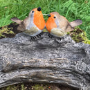 Robin on log effect Bird Bath or feeder with decorative robins, great robin lover gift
