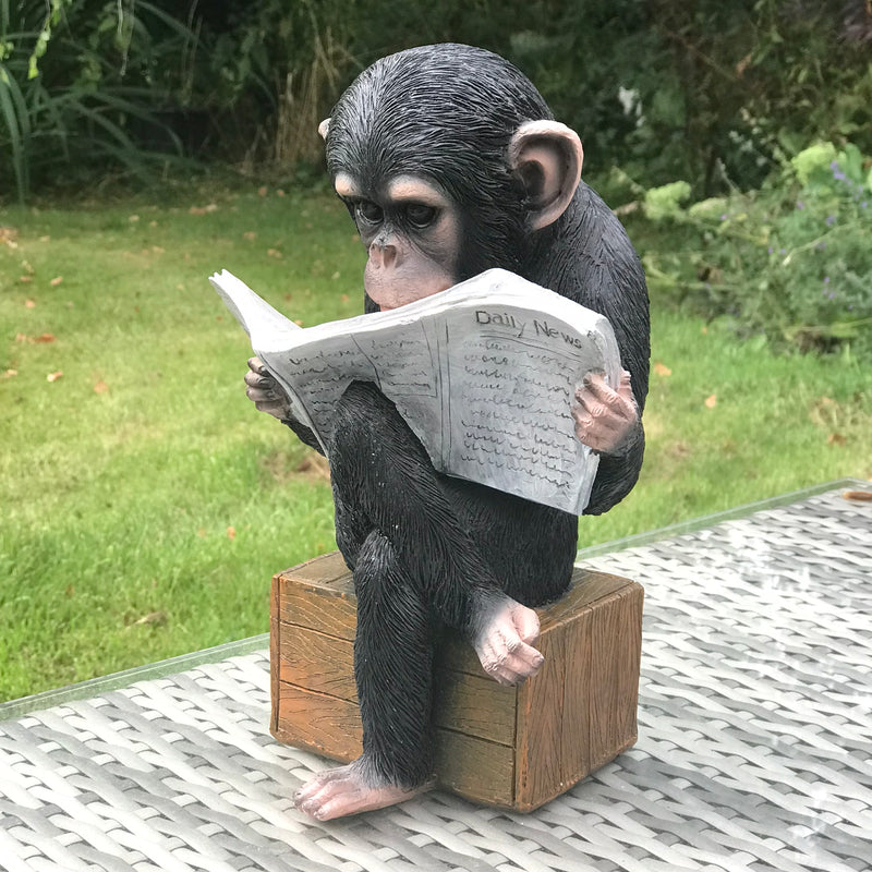 Monkey reading the News novelty indoor ornament or garden decoration