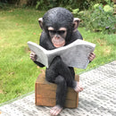 Monkey reading the News novelty indoor ornament or garden decoration