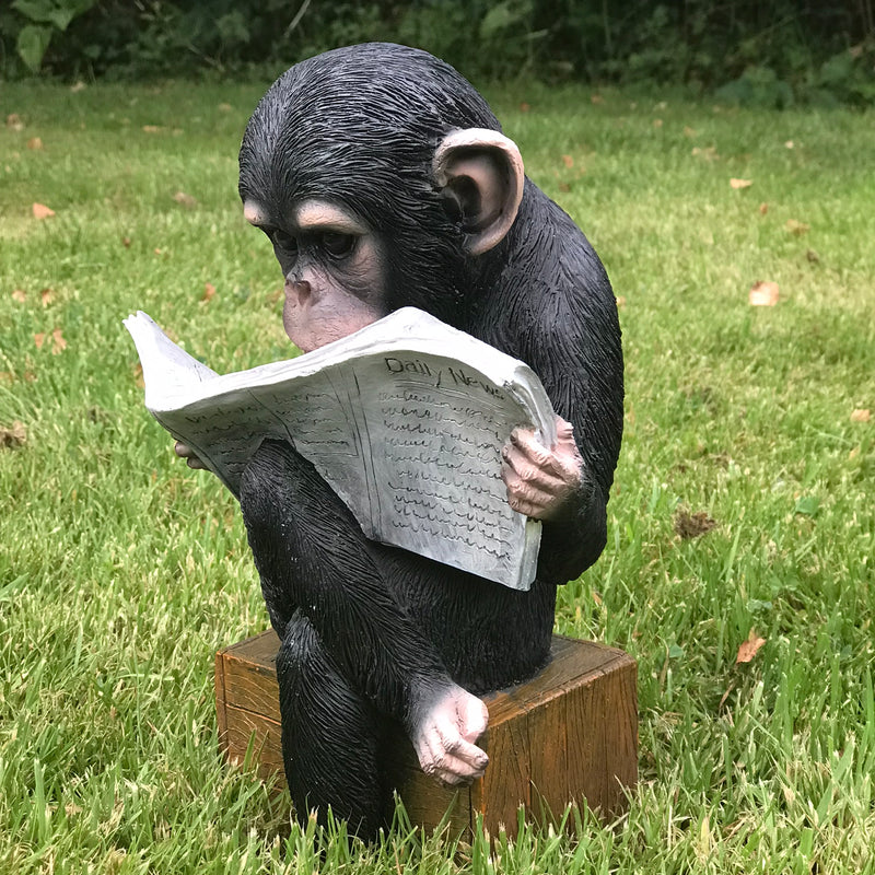 Monkey reading the News novelty indoor ornament or garden decoration