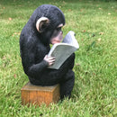 Monkey reading the News novelty indoor ornament or garden decoration