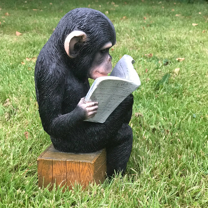 Monkey reading the News novelty indoor ornament or garden decoration