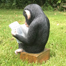 Monkey reading the News novelty indoor ornament or garden decoration