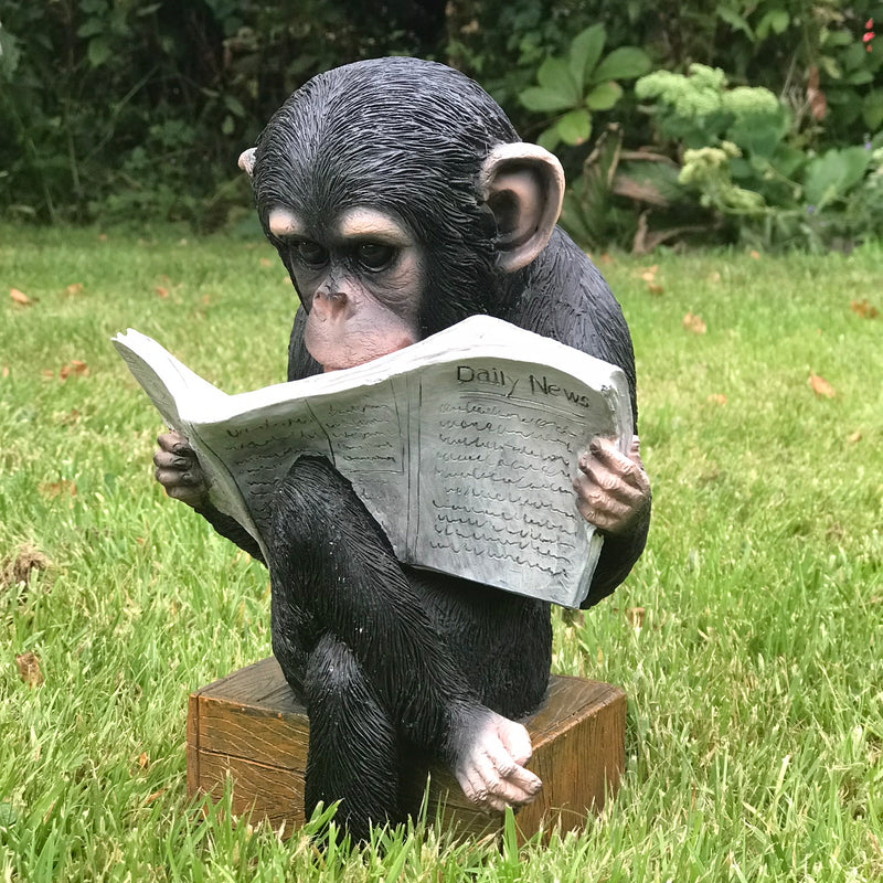 Monkey reading the News novelty indoor ornament or garden decoration