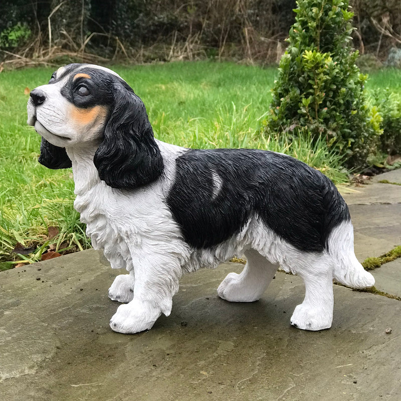 Large (31cm) Cavalier King Charles Spaniel figurine, heavy weight,  home or garden decoration