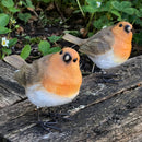 SET OF 2 ROBIN ORNAMENTS indoor or outdoor garden decoration, ideal robin lover gift