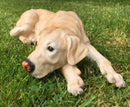 Golden Labrador large (44cm long) realistic indoor outdoor garden ornament memorial