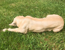 Golden Labrador large (44cm long) realistic indoor outdoor garden ornament memorial
