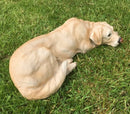 Golden Labrador large (44cm long) realistic indoor outdoor garden ornament memorial