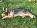Large (45cm) laying German Shepherd Dog ornament sculpture, great memorial or Alsatian lover gift