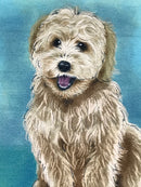 20cm metal vintage style Labradoodle lover gift breed character hang sign plaque