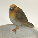 Robin Bird Bath or feeder, aged stone effect bowl with decorative robins. Ideal robin lover gift.