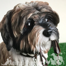 Large 17cm Brown Shih Tzu ornament figurine quality Leonardo walkies range boxed