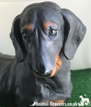 COMING SOON! Large Realistic Dachshund figurine, home or garden decoration, length 38cm
