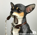 Chihuahua black & tan quality lifelike large 18cm Leonardo figurine. Gift boxed.