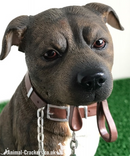 Large Brown Staffordshire Bull Terrier 'Staffie'  ornament from the Leonardo 'Walkies' range