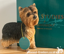 Yorkshire Terrier 'Yorkie' lifelike figurine ornament Leonardo range gift boxed.