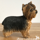 Yorkshire Terrier 'Yorkie' lifelike figurine ornament Leonardo range gift boxed.