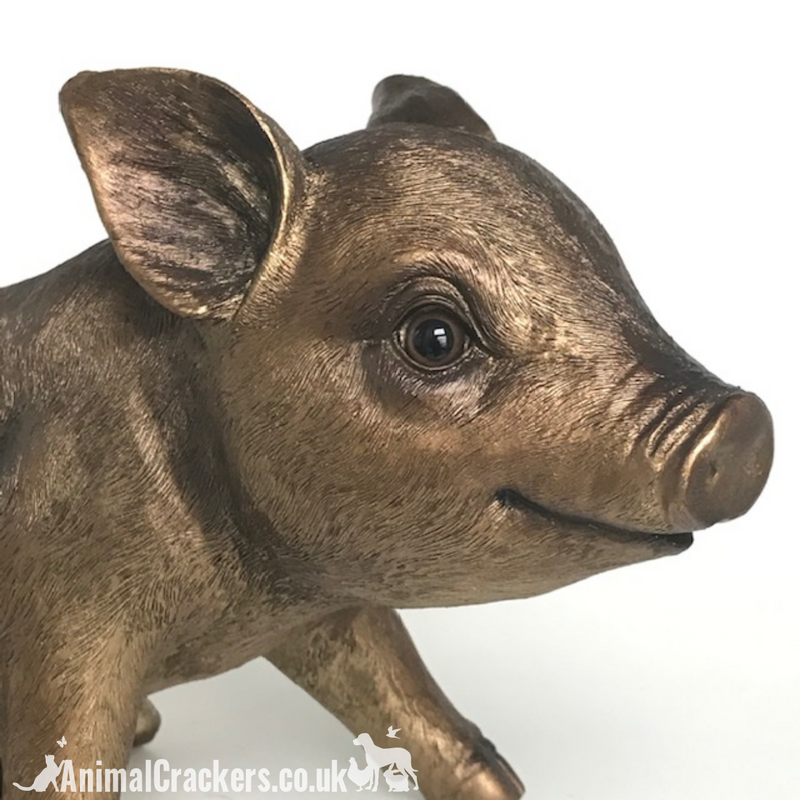 Large (24cm) quality Bronze effect Piggy Bank ornament or decoration, great Pig lover gift