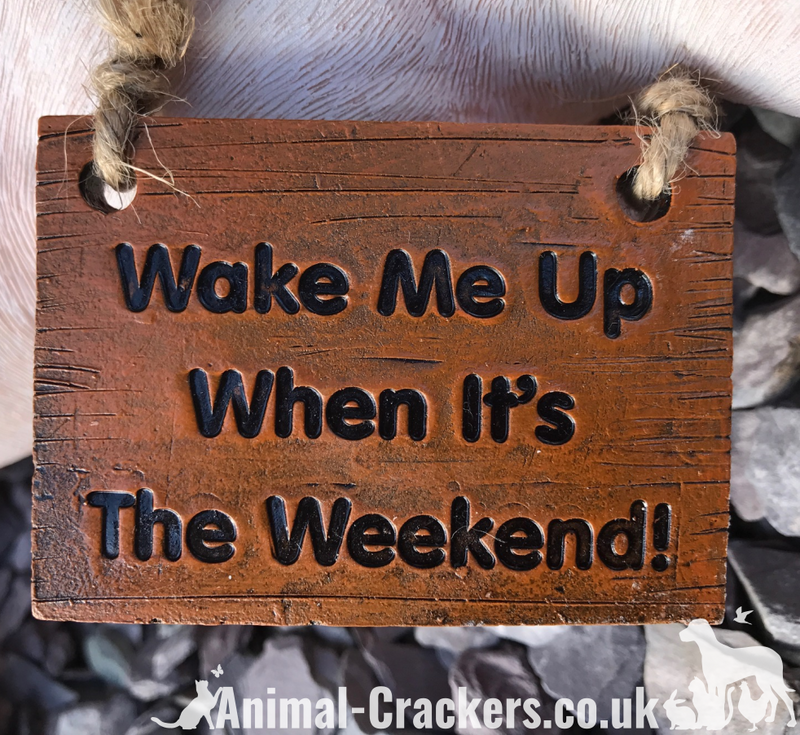 Wake Me Up at the Weekend sign Sleeping Pig ornament decoration pig lover gift