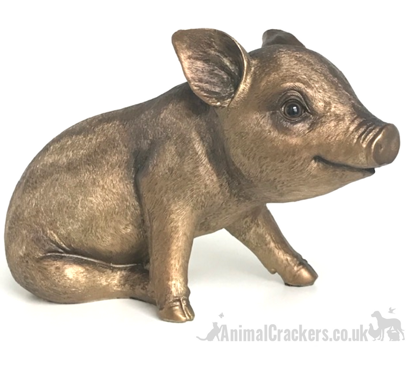 Large (24cm) quality Bronze effect Piggy Bank ornament or decoration, great Pig lover gift
