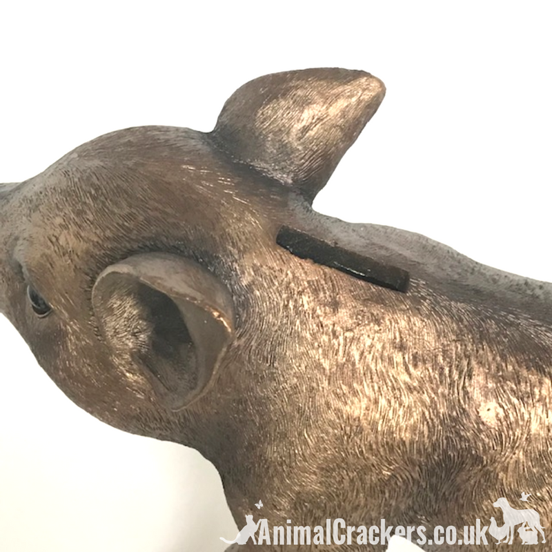 Large (24cm) quality Bronze effect Piggy Bank ornament or decoration, great Pig lover gift