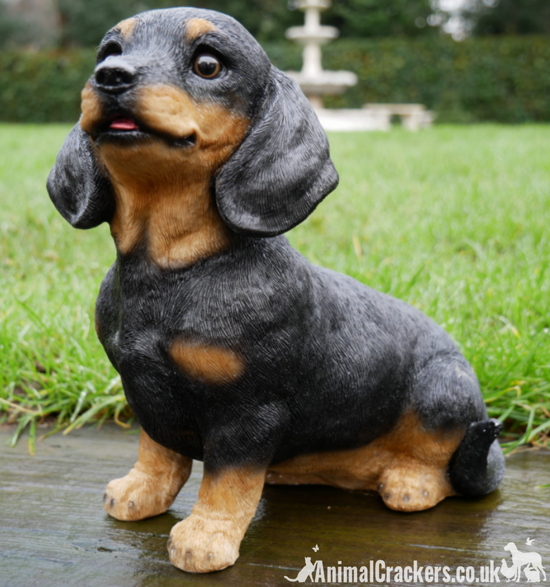Cute sitting Dachshund indoor or garden ornament, great Sausage Dog lover gift