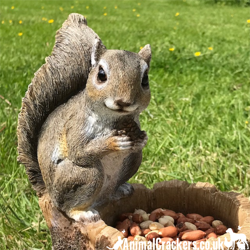 Squirrel on Tree trunk, novelty nut feeder or garden decoration, a great Squirrel lover gift