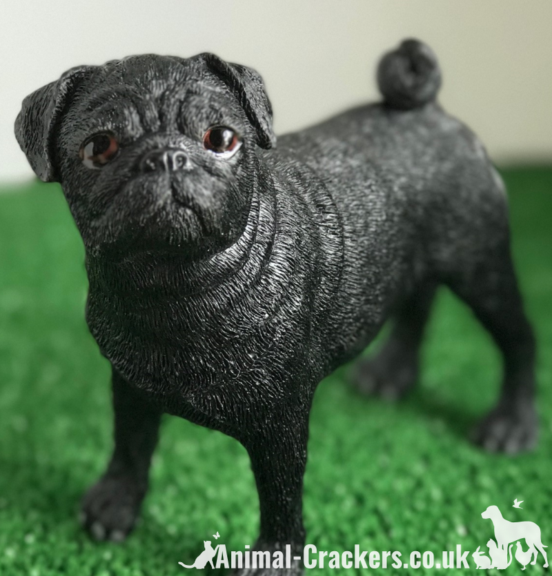 Black standing Pug ornament quality realistic figurine Leonardo range Gift boxed