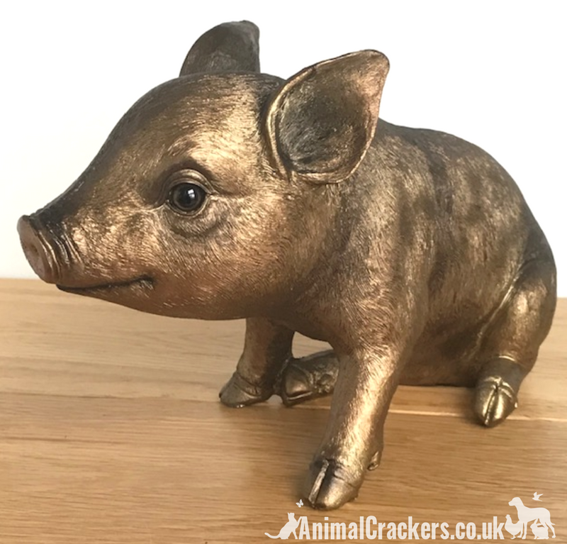 Large (24cm) quality Bronze effect Piggy Bank ornament or decoration, great Pig lover gift