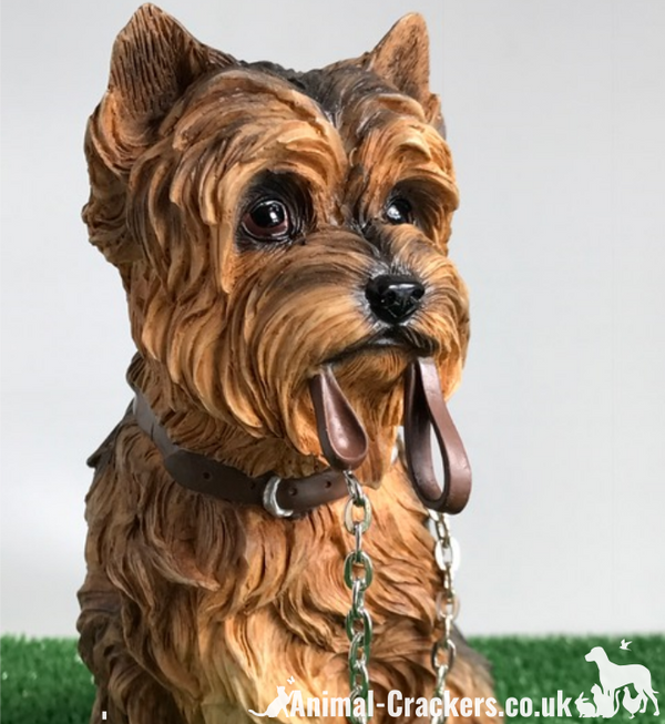 Yorkshire Terrier Sbadiglio Statuetta | Cane In Porcellana Leonardo Collection Collezione