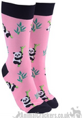 Novelty Panda design socks, Men or Women, One Size, wildlife lover gift