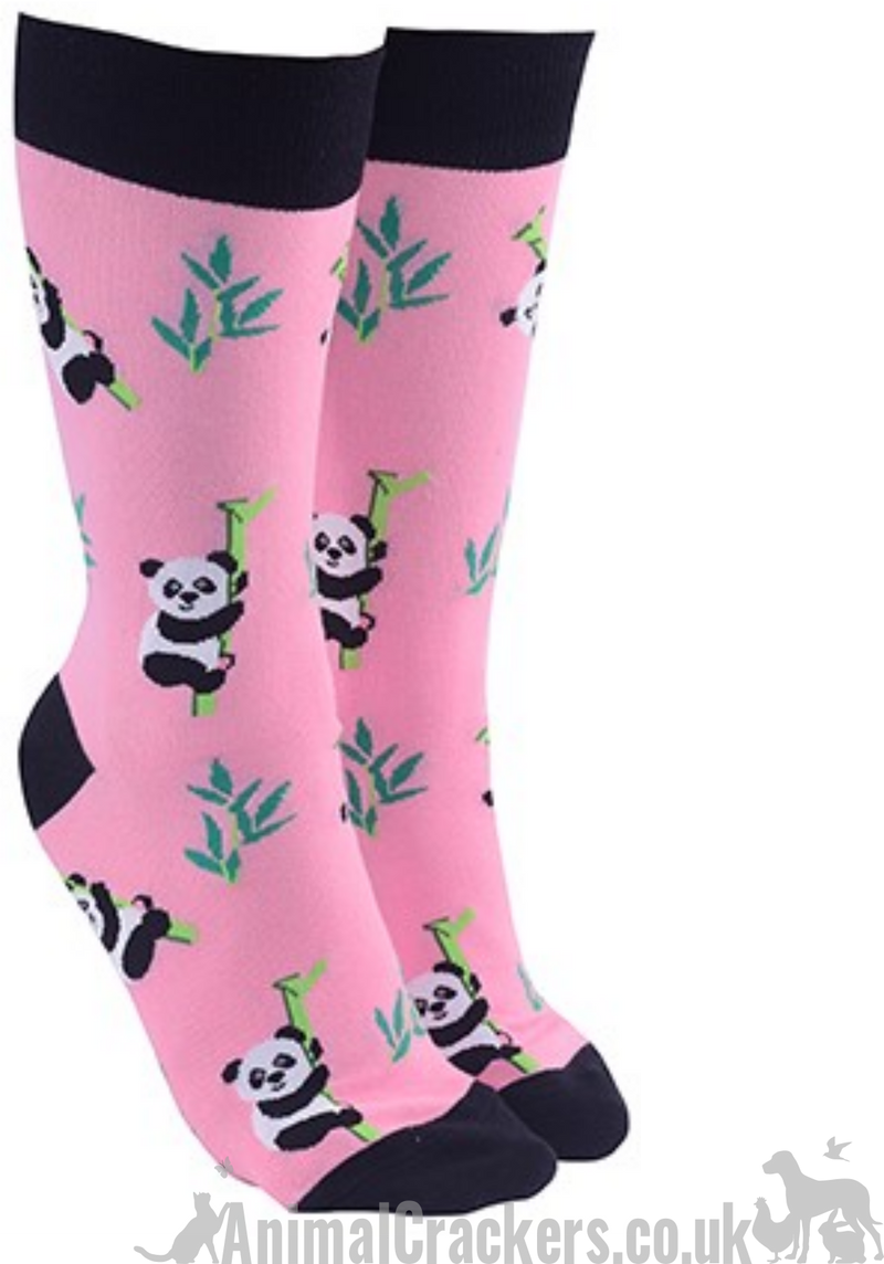 Novelty Panda design socks, Men or Women, One Size, wildlife lover gift