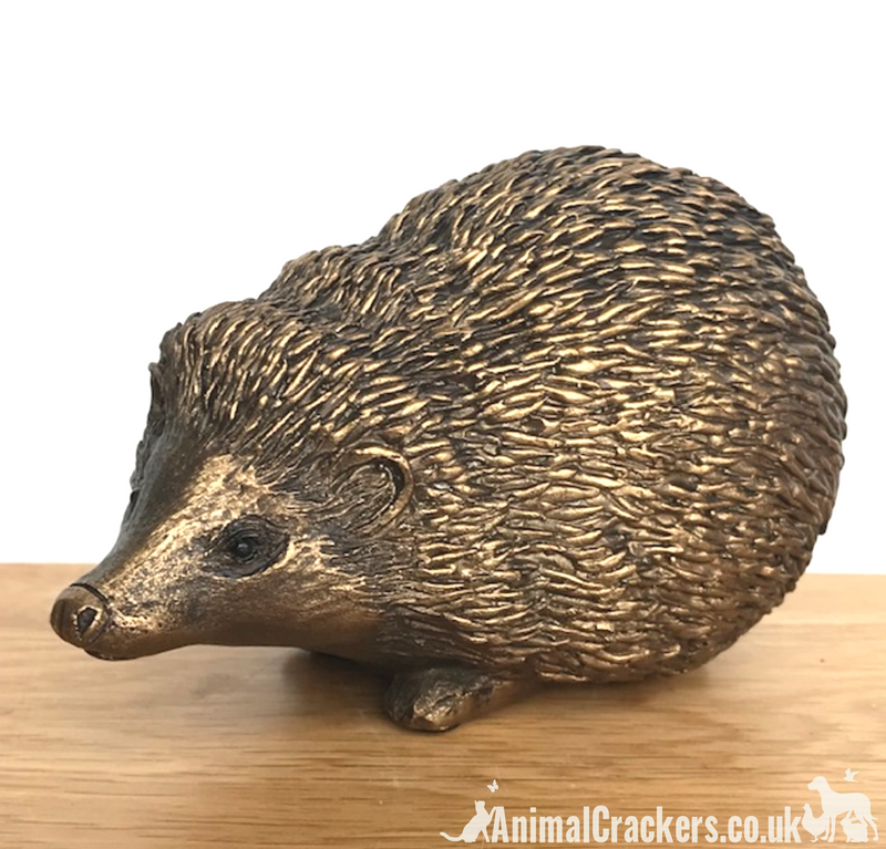 Bronze effect Hedgehog sculpture ornament figurine designed by Harriet Glen