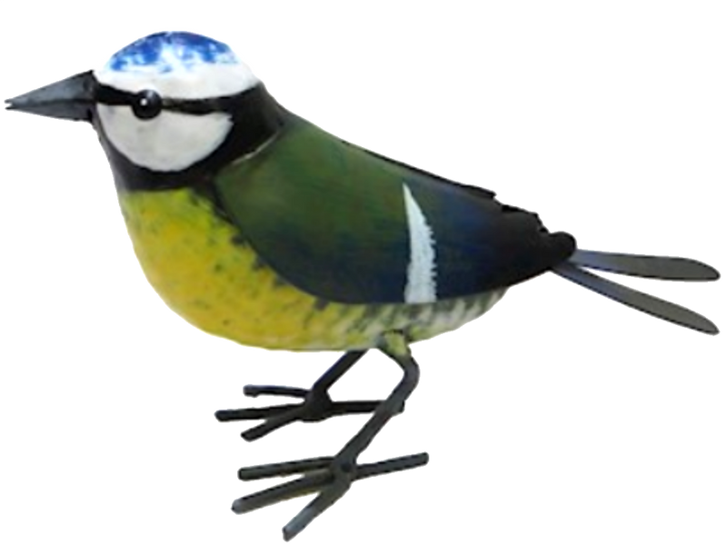 SET OF 2 larger than life (16cm) quirky hand painted metal garden bird ornaments (BLUE TIT + BULLFINCH), great bird lover gift