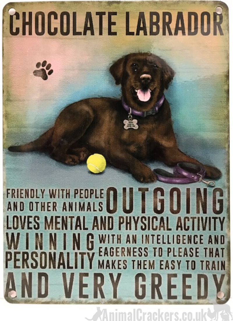 20cm metal vintage style Chocolate Labrador breed character hanging sign plaque