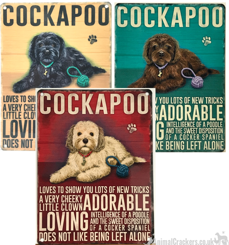 Cockapoo Inside Sign 20cm Metal old style Black Cockapoo Cocker Poodle breed character hang