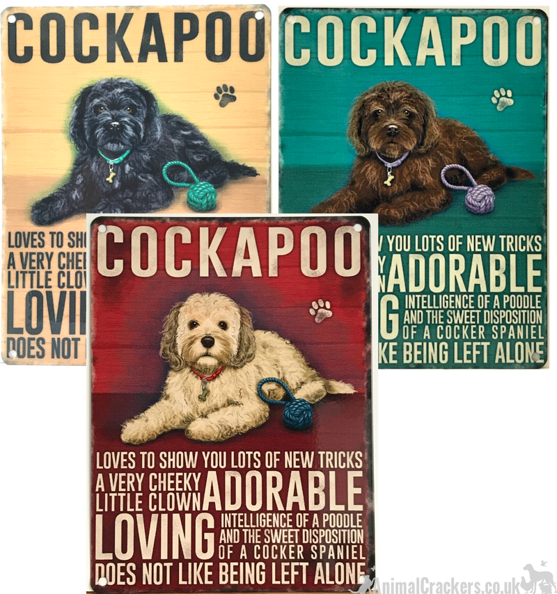 20cm Metal old style Brown Cockapoo Cocker Poodle breed character hanging sign