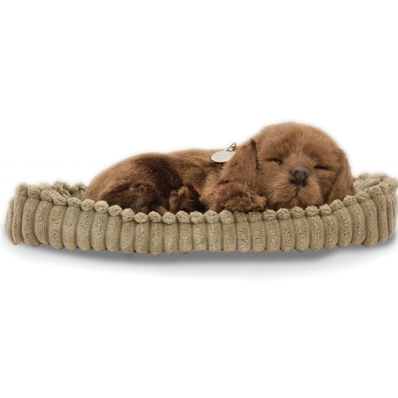 Precious Petzzz 'breathing' Chocolate Labrador soft toy with pet bed novelty Dog lover gift