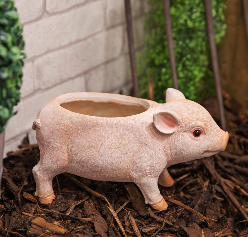 Pig shaped flower or herb Planter novelty house, garden or patio decoration, quirky Pig lover gift