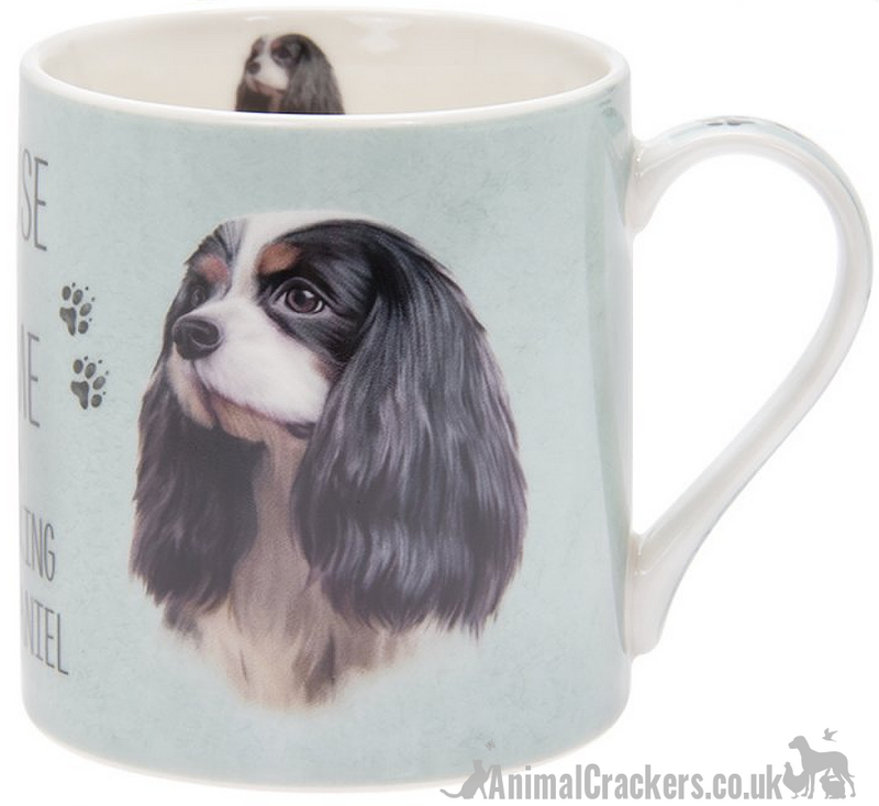 'A House is Not a Home Without a Cavalier King Charles Spaniel' design china Mug by Leonardo, in presentation gift box