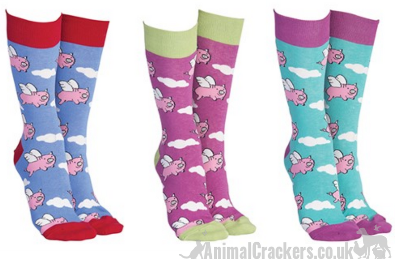 Novelty bright colour 'Flying Pig' Pig design socks form the Sock Society, Unisex & One Size fits all, quality Pig lover gift/stocking filler