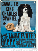 20cm metal Cavalier King Charles Spaniel lover gift breed character hanging sign