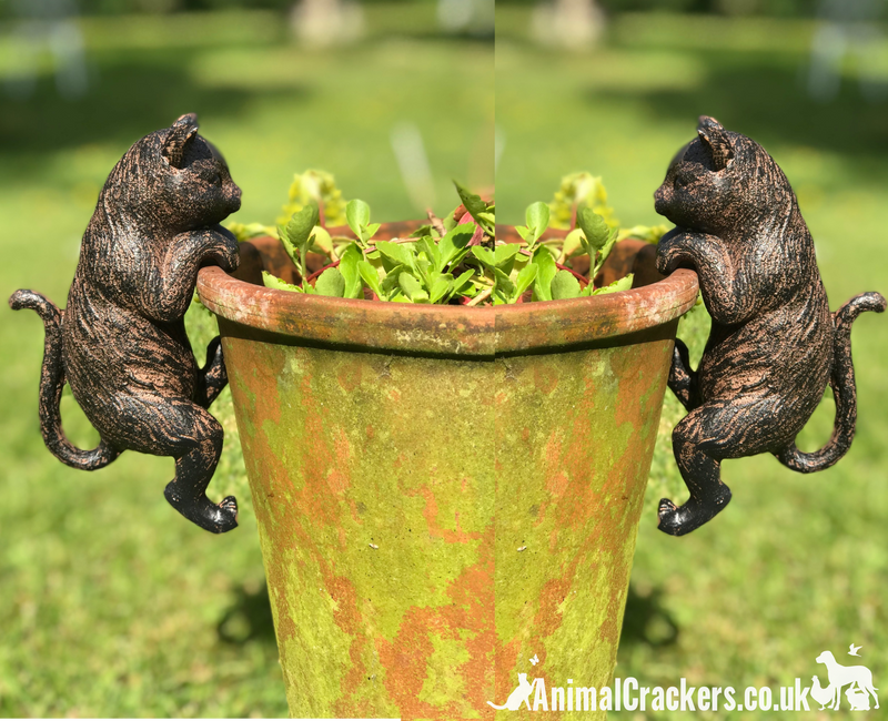 SET OF 2 Cat Flower Pot Hanger ornaments, indoor or outdoor, great Cat lover gift