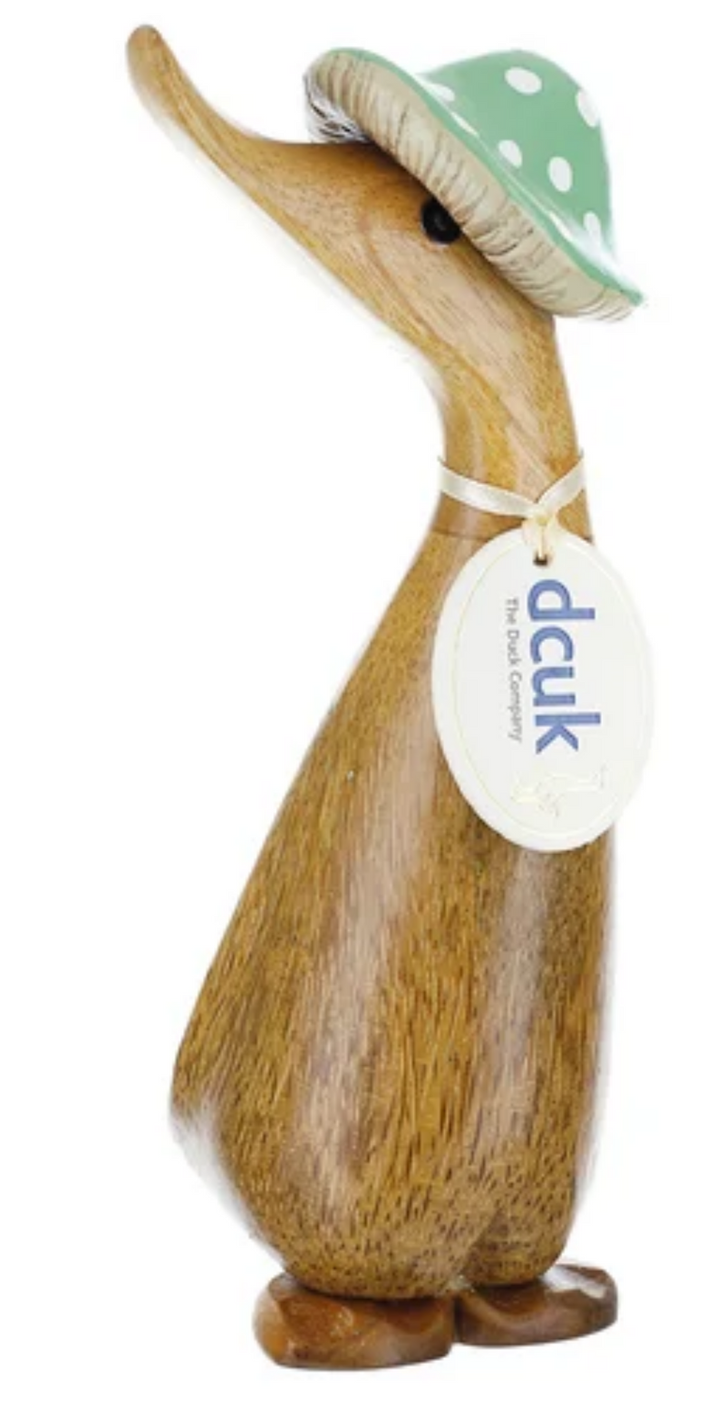 DCUK 'Toadstool Folk' natural wood Duckling in Spotty Hat, with name tag