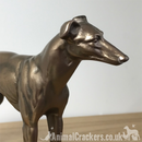 Single Greyhound figurine in Cold Cast Bronze, from Beauchamp Bronze