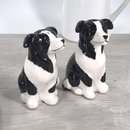 Border Collie design ceramic Salt & Pepper cruet set by Lesser & Pavey, boxed
